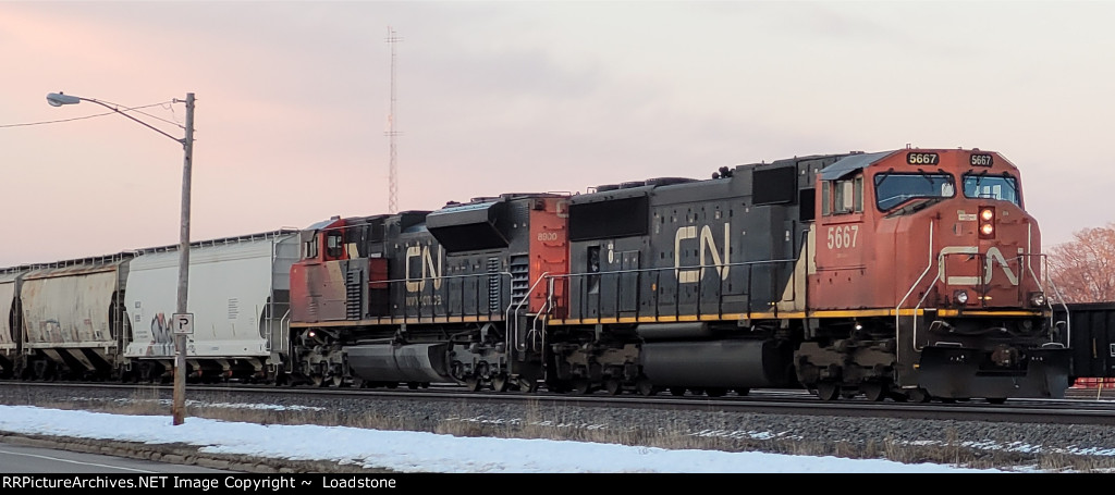 CN 5667 CN 8900